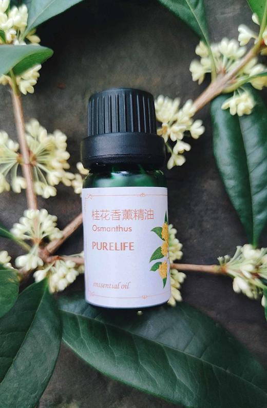 新品上架啦~【纯妧手工坊】进口兰栀/忍冬花/海洋/薰衣草鹅梨帐中香/芍药/蓝风玲/鼠尾草/空谷幽兰香薰精油礼盒 商品图0