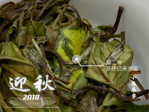 【家有好茶】竹香清新，药香沉郁，7年陈的散白茶2018迎秋清风徐来 商品图12