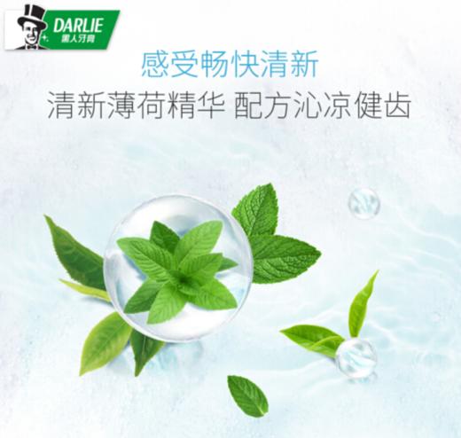 O| 黑人（DARLIE） 牙膏 超白茶倍健90g 改善烟渍牙渍黄牙清新口气 商品图2