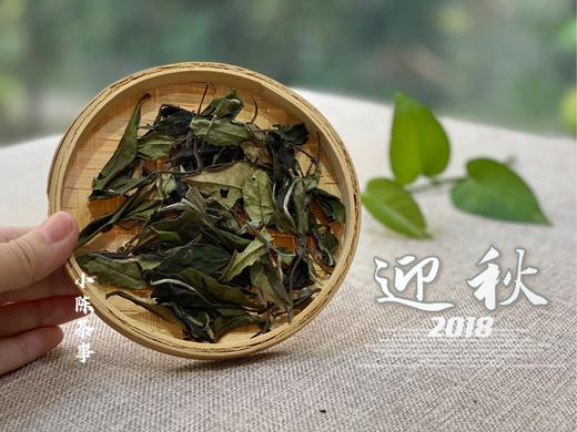 【家有好茶】竹香清新，药香沉郁，7年陈的散白茶2018迎秋清风徐来 商品图2