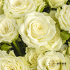 多头玫瑰 | 繁星 商品缩略图4