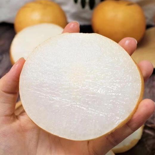 正宗山东秋月梨 肉脆多汁   4.5-7斤装 商品图5
