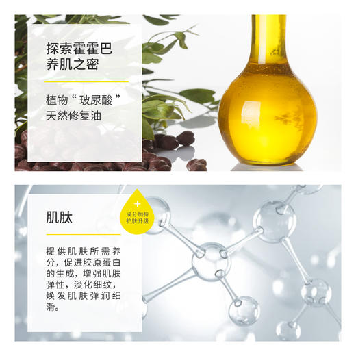 ISASI/依沙氏活肤精华水保湿补水爽肤水【有效期2026-10-17】 商品图5