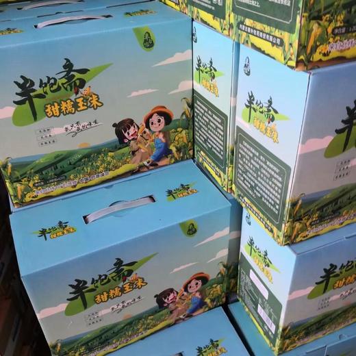 半饱斋甜糯玉米 商品图2