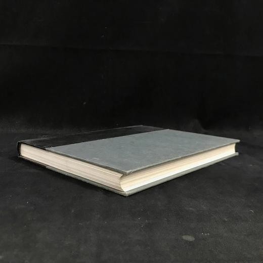 德斯蒙德·威尔科克斯《美国人》 数百幅插图 精装16开 商品图1