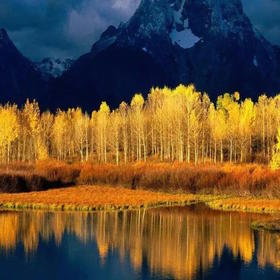 河南卫视晚会再度刷屏：真正的高手，都是花大力气做小事