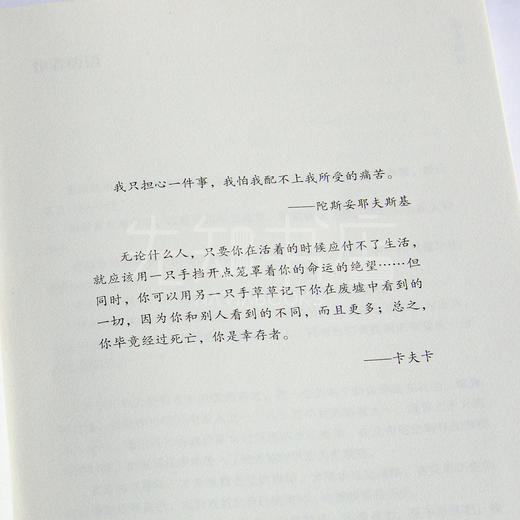 邵燕祥《我死过，我幸存，我作证》 商品图6