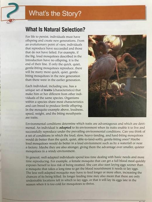 天体生物学 数百幅插图 精装16开 商品图9