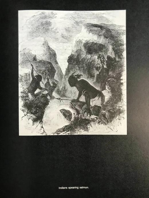 德斯蒙德·威尔科克斯《美国人》 数百幅插图 精装16开 商品图10