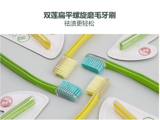 双莲螺旋磨毛牙刷（去牙渍专用型）win Lotus双莲牙刷硬毛 泰国螺旋磨毛去渍型硬毛成人牙刷支男士女士家用 商品图1