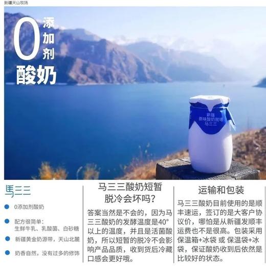 新疆马三三零添加剂酸奶 180g*12瓶 商品图3