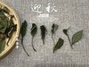【家有好茶】竹香清新，药香沉郁，7年陈的散白茶2018迎秋清风徐来 商品缩略图4