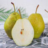 鲁山酥梨  4.5斤大果（9-12个梨）   A-5201 商品缩略图1