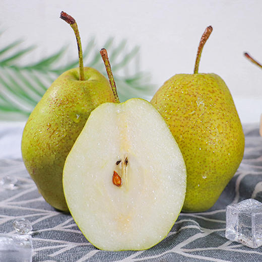 鲁山酥梨  4.5斤大果（9-12个梨）   A-5201 商品图1