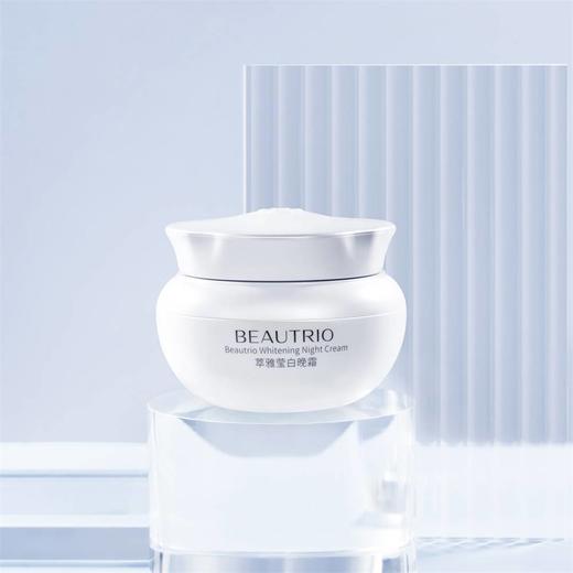 无限极萃雅莹白晚霜 50g 原价435元 商品图1