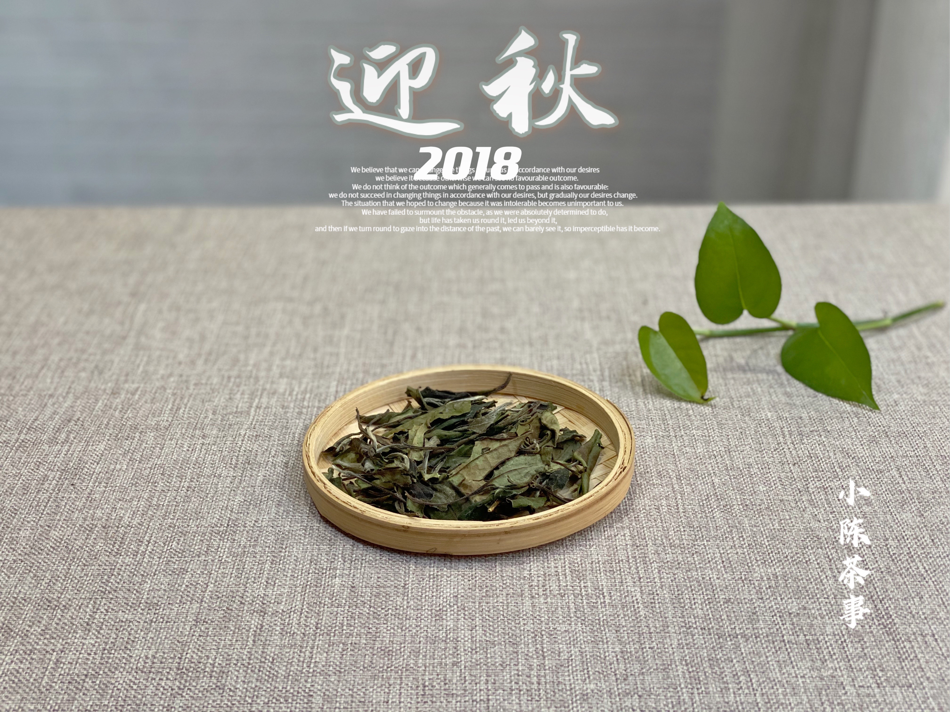 【家有好茶】竹香清新，药香沉郁，7年陈的散白茶2018迎秋清风徐来