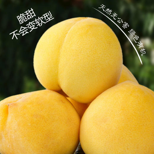 【陕西】西瑞黄桃10斤（脆甜不变软！） 商品图0