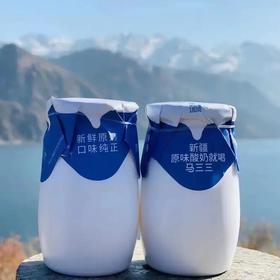 新疆马三三零添加剂酸奶 180g*12瓶