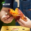 【下单后48小时左右发货】云南 高原 甜糯红薯6斤装左右 商品缩略图6