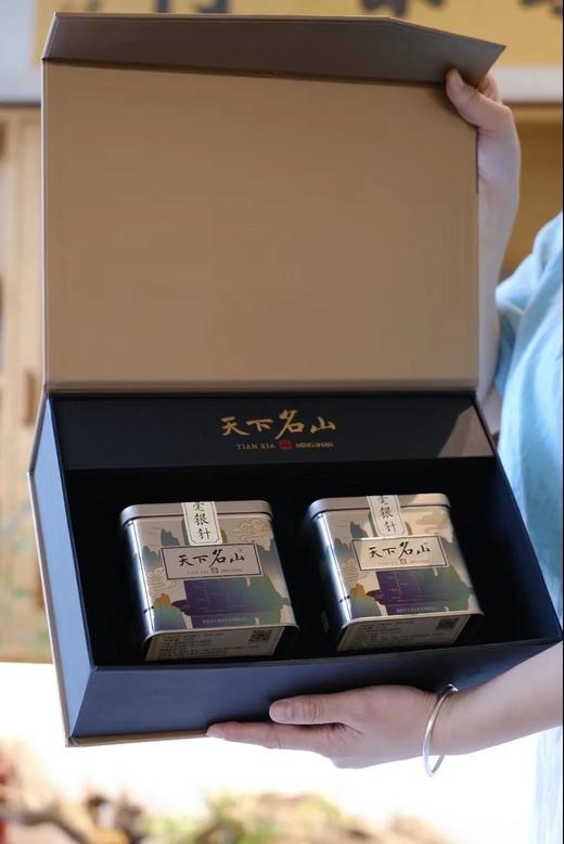 杞冠臻选| 天下名山 白毫银针 （2021版）白茶 单罐装 双罐礼盒装 木箱珍藏版 商品图2