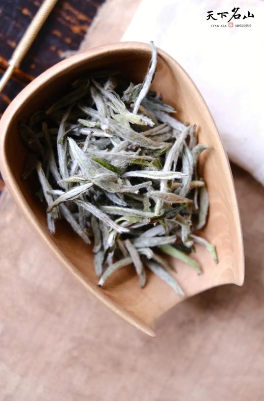 杞冠臻选| 天下名山 白毫银针 （2021版）白茶 单罐装 双罐礼盒装 木箱珍藏版 商品图3