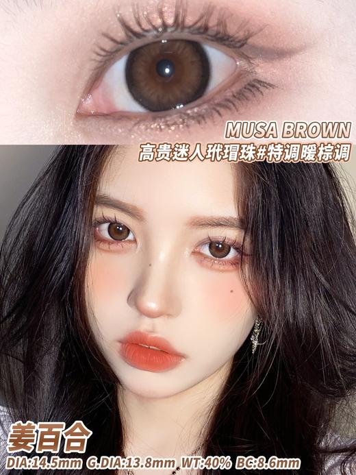 legalloli 姜百合「734」0-1000度（有525/575） 325/375/400度缺货 其余度数现货 商品图5