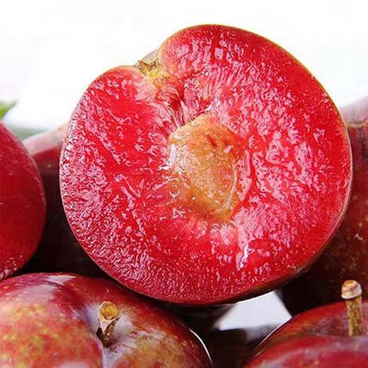 龟兹龙珠-新疆杏李 商品图1