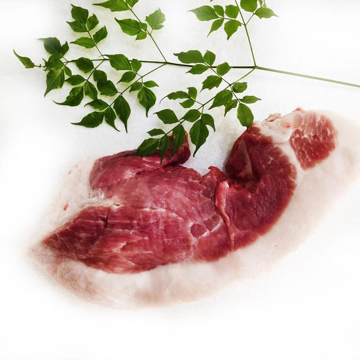 丨有机丨黑山猪 猪肉 散养在大山里的跑山猪 前腿，后腿，五花，肋排，通排 一正有机 商品图10