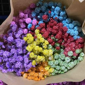 千万星--吸色·七彩