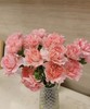 【国产康乃馨】理想粉（粉钻） 18-20支/扎 商品缩略图0