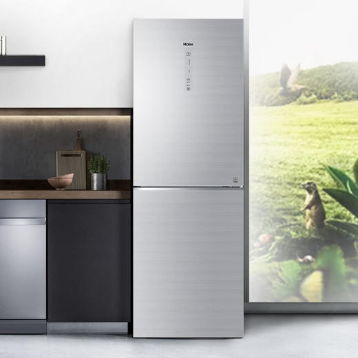 海尔（Haier）冰箱 BCD-272WDCI 商品图0