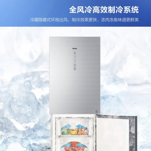 海尔（Haier）冰箱 BCD-272WDCI 商品图3