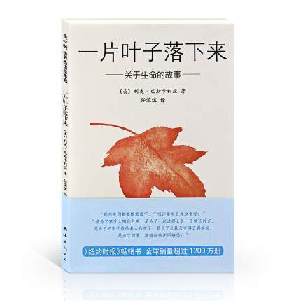 一片叶子落下来 商品图0