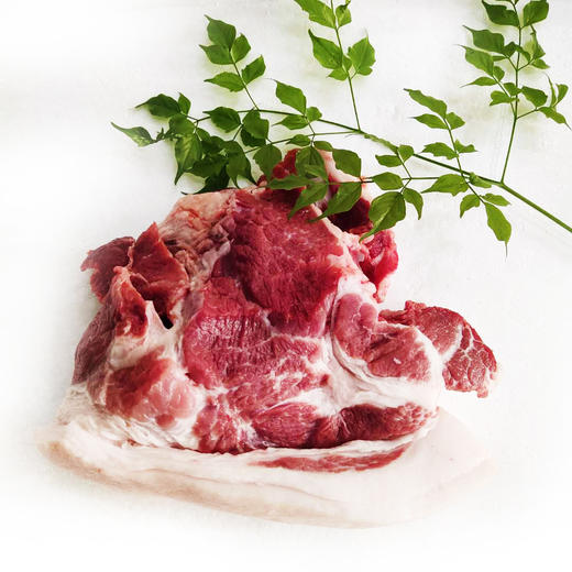 丨有机丨黑山猪 猪肉 散养在大山里的跑山猪 前腿，后腿，五花，肋排，通排 一正有机 商品图9