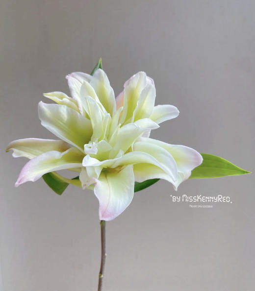 百合 | 萨拉 商品图0