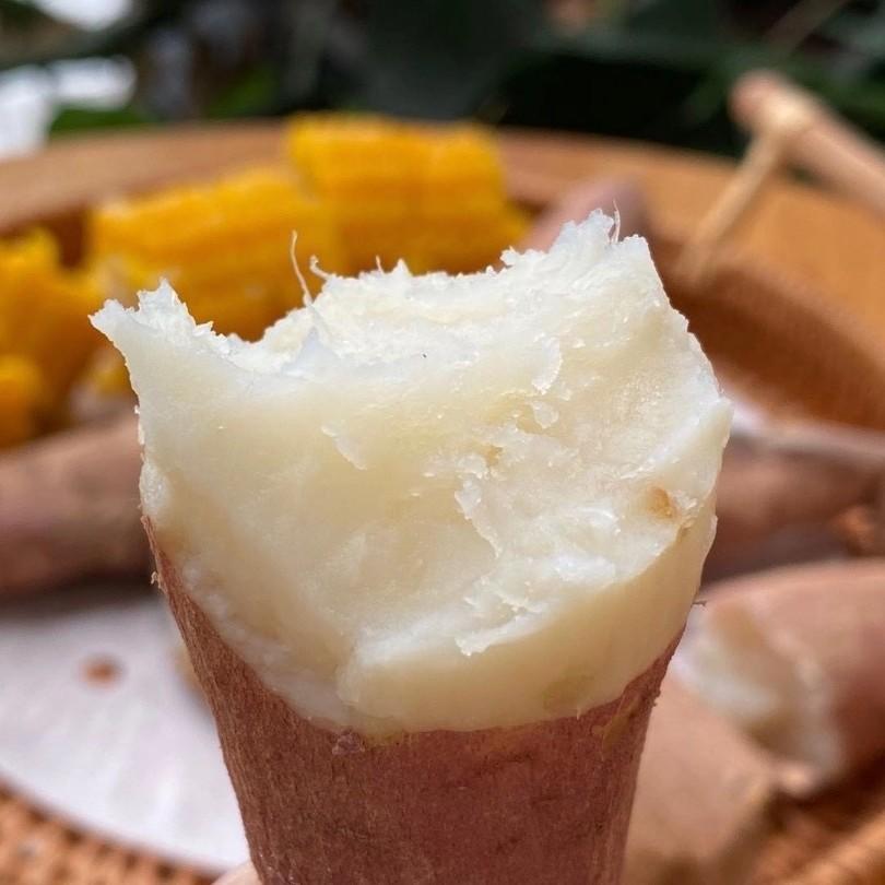 红皮白心粉糯冰糖蜜薯 5斤