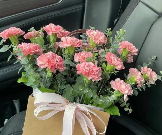 【国产康乃馨】理想粉（粉钻） 18-20支/扎 商品图5