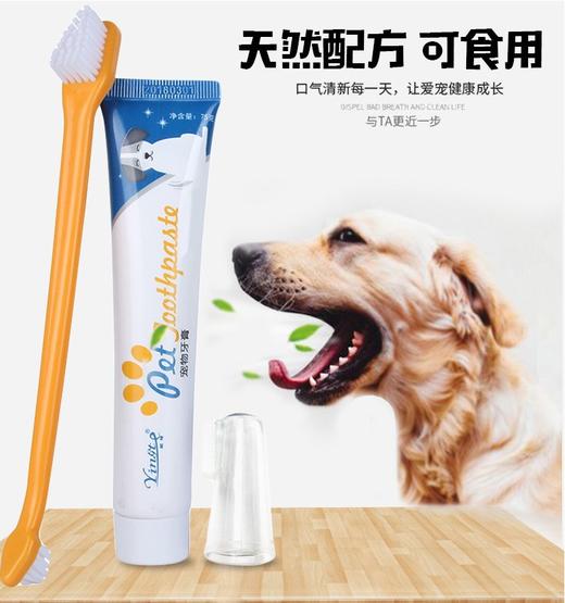 宠物牙膏牙刷套装 清洁牙齿去口气口臭 效果好 商品图1