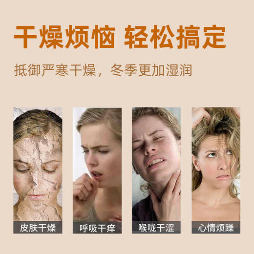 加湿器家用室内卧室迷你小夜灯车载大房间空气净化器空调喷雾香薰七夕情人节 商品图2