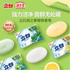 立白润肤除菌香艾植物香皂  100g 商品缩略图1
