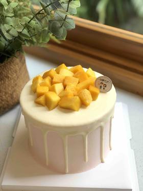 水果奶油蛋糕 下单前请仔细阅读商品详情