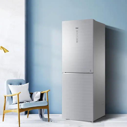 海尔（Haier）冰箱 BCD-272WDCI 商品图9