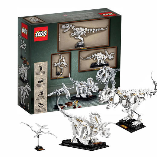 乐高 恐龙化石 21320 商品图1