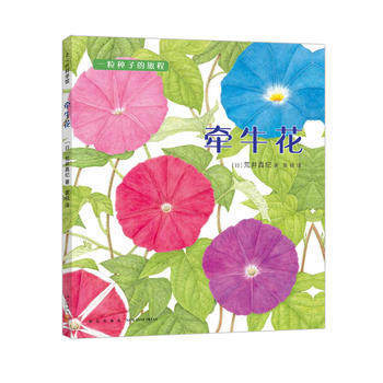 牵牛花 商品图0