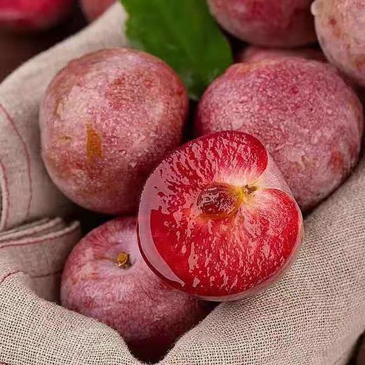 龟兹龙珠-新疆杏李 商品图3