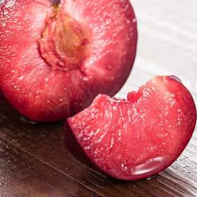 龟兹龙珠-新疆杏李