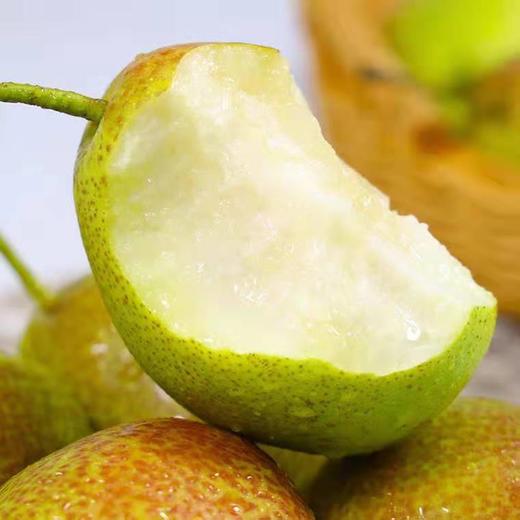 鲁山酥梨 商品图1