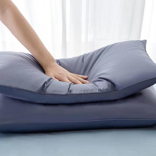 【6F】宜庭｜人体工学双核鹅绒枕 商品图1