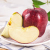 【甘肃天水 花牛苹果】新鲜花牛粉面苹果 现摘现发当季水果 商品缩略图3