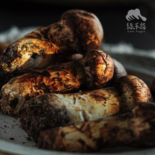 楚雄松茸（价格以下单当日为准） | 合作生产 * Chuxiong Matsutake | Coproduction 商品图0